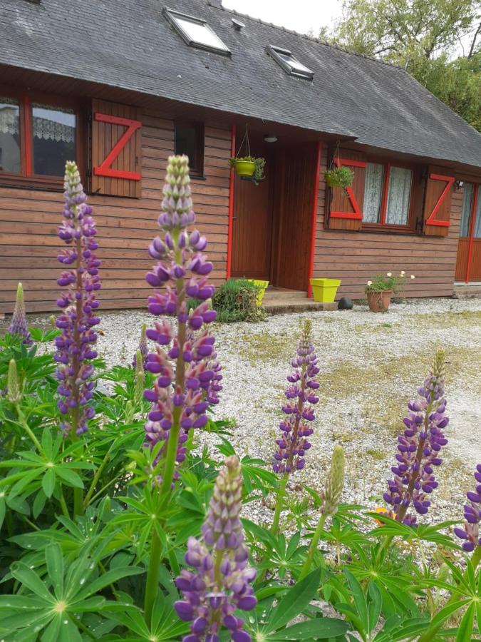 Chez Christine Bed & Breakfast Noyal-Pontivy Exterior photo